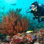 Try Scuba Diving in Kauai From a Boat for Non-Certified Divers - A Detailed Look at the Kauai Try Scuba Experience