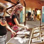 Tucson: Flandrau Science Center Entry Ticket - A Closer Look at What to Expect