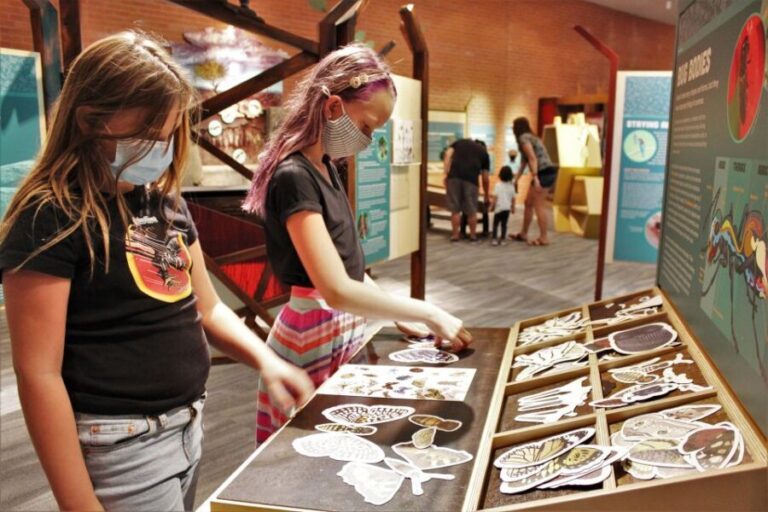Tucson: Flandrau Science Center Entry Ticket - A Closer Look at What to Expect