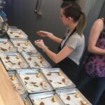 Tucson Food Tours- 4th Ave & Main Gate Square Walking Food Tour - Who Will Love This Tour?