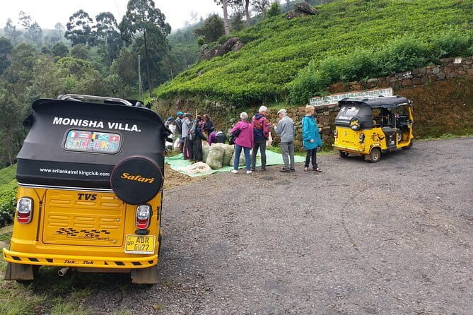 Tuk Tuk safari and Picnic in The Tea Plantation from Ella,Haputale & Bandarawela - Frequently Asked Questions