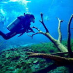 Tulum: 2 Tank Cenote Dive - Practical Tips for the Tour