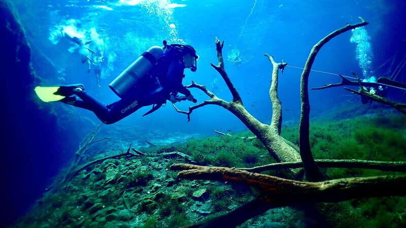 Tulum: 2 Tank Cenote Dive - Practical Tips for the Tour