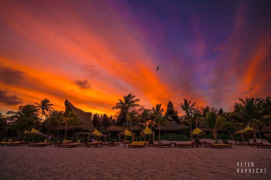 Tulum: Ahau de Noche Dinner with Drinks and Hotel Transfer - Who Should Consider This Experience?