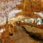 Tulum: Akumal Turtles and Underground Cenote Swim Tour - The Itinerary in Detail