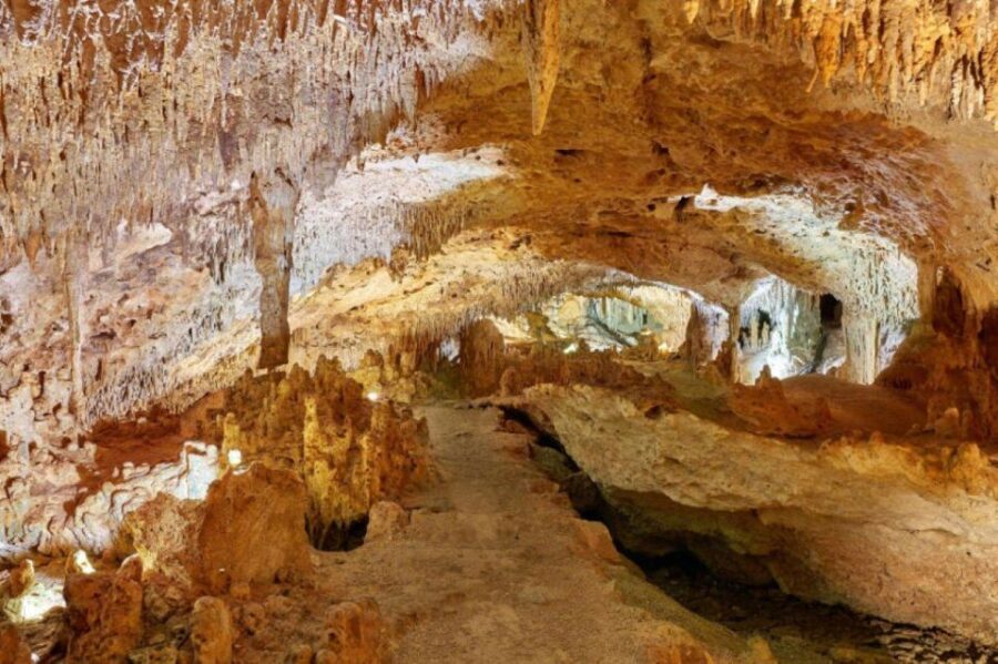 Tulum: Akumal Turtles and Underground Cenote Swim Tour - The Itinerary in Detail