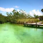 Tulum Archaeological Site & Sian Ka'an Muyil Tour from Tulum - Who Is This Tour Best Suited For?
