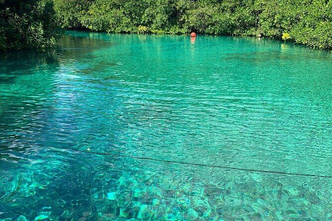 Tulum Area Experiences 2 Tank Guided Scuba Dives at Dos Ojos Cenote's + Lunch - Why This Tour Offers Great Value