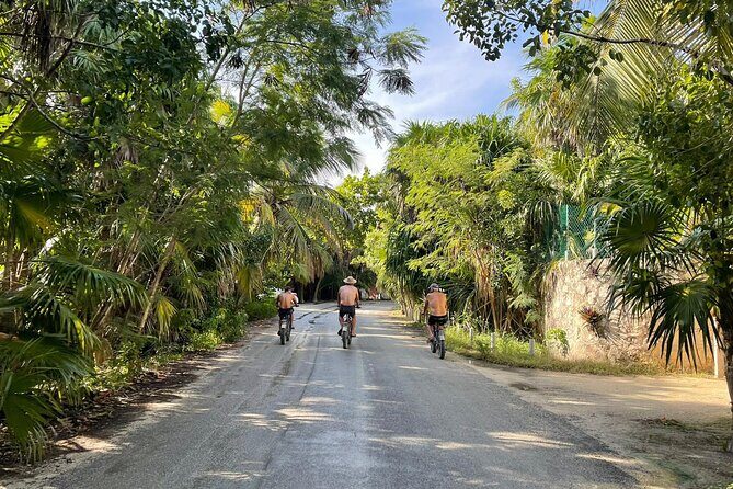 Tulum Area Experiences E-Bike Daily Rental - What to Expect on Your Day with an E-bike
