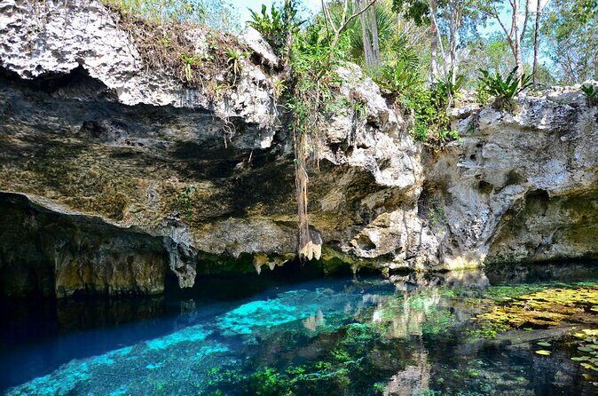 Tulum Area Guided Scooter Tour to 3 Cenote's, Snorkel/Swim & Local Lunch - In-Depth Look at the Tour Itinerary