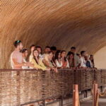 Tulum Beer Tasting Brewery Tour Beer School & Transportation - The Sum Up