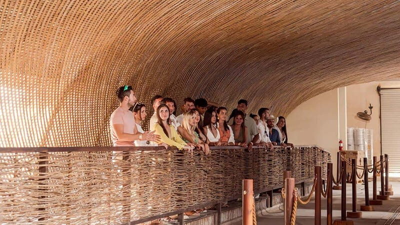 Tulum Beer Tasting Brewery Tour Beer School & Transportation - The Sum Up