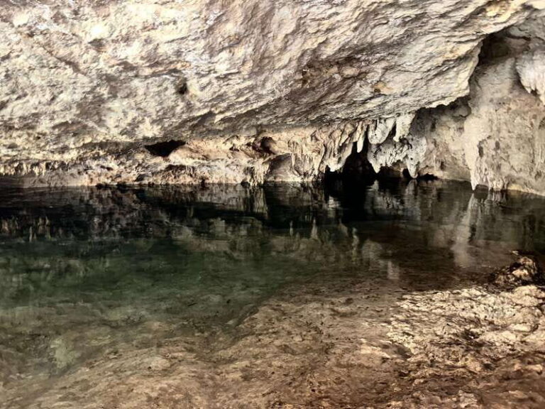 Tulum: Cenotes Tour with Snorkeling and Lunch - A Detailed Look at the Tulum Cenotes Tour