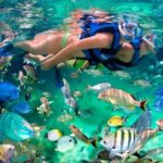 Tulum Coba Akumal Snorkel tour Premium Service Small Group - Transportation and Group Size: Why It Matters