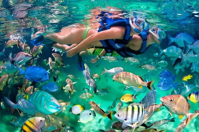 Tulum Coba Akumal Snorkel tour Premium Service Small Group - Transportation and Group Size: Why It Matters