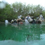 Tulum: Discover Scuba Diving in Cenotes - Why the Cenote Experience Feels Unique