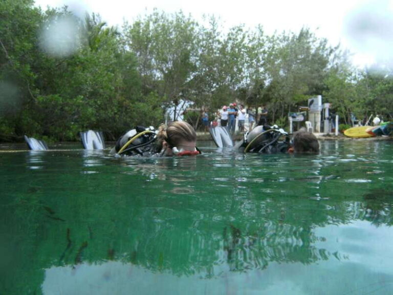 Tulum: Discover Scuba Diving in Cenotes - Why the Cenote Experience Feels Unique