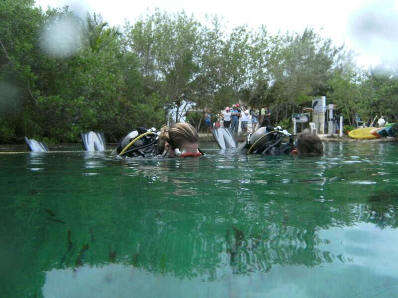 Tulum: Discover Scuba Diving in Cenotes - Why the Cenote Experience Feels Unique