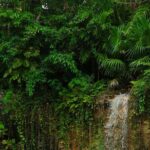 Tulum Essence Art and Photography Tour - What Makes This Tour Stand Out?