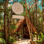 Tulum: Floating Breakfast in The Yellow Nest (Day Pass) - Who Should Consider This Tour?