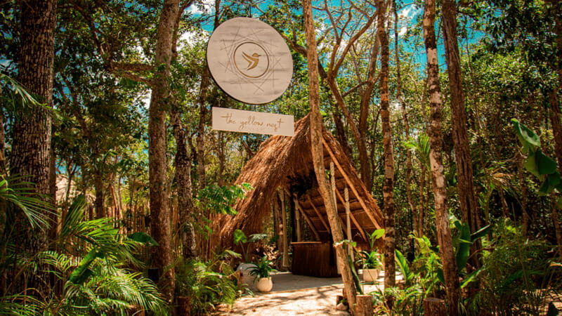 Tulum: Floating Breakfast in The Yellow Nest (Day Pass) - Who Should Consider This Tour?