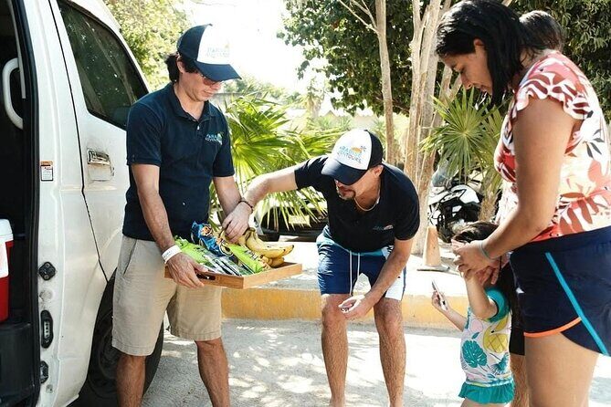 Tulum Half Day Plus Jaguar Park and Playa Paraíso Tour - A Closer Look at the Tour Experience