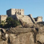 Tulum Highlights Early Easy and Crowd Free - Why This Tour Offers Good Value