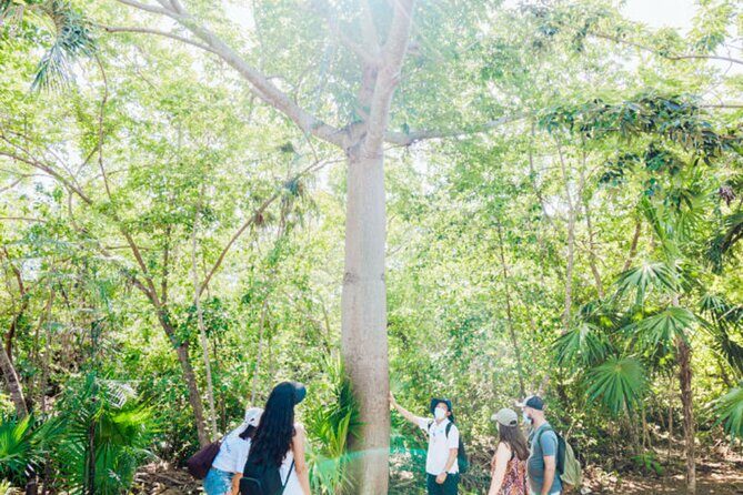 Tulum, Jungle ATV and Cenote Adventure - Practical Details and Value