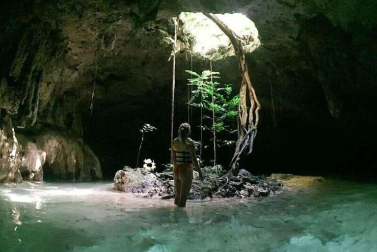 Tulum: Mayan Ruins and Snorkeling Adventure - Who Will Love This Tour?