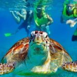 Tulum Mayan Ruins and Snorkeling with Turtles at Akumal - FAQ