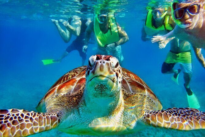 Tulum Mayan Ruins and Snorkeling with Turtles at Akumal - FAQ