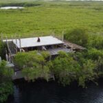 Tulum: Pargo Restaurant Cenote Dining Experience - Authenticity and Practicalities