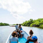 Tulum: Rio Lagartos Biosphere & Coloradas Pink Lake! Guided - FAQ