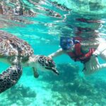 Tulum Ruins, Snorkeling with Turtles and Underground Caves - Authentic Experiences and Real Traveler Feedback
