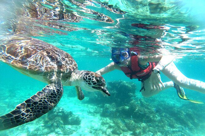 Tulum Ruins, Snorkeling with Turtles and Underground Caves - Authentic Experiences and Real Traveler Feedback