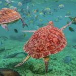 Tulum, Snorkeling with Sea Turtles, Cenote and Beachside Lunch - What Reviewers Say