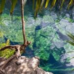 Tulum: Tour 4 Cenotes Casa Tortuga - Frequently Asked Questions