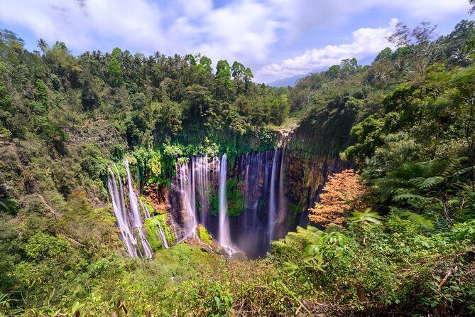 Tumpak Sewu Waterfall & Goa Tetes Private Day Tour - An In-Depth Look at the Tumpak Sewu & Goa Tetes Private Tour
