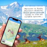 Tunnel Mountain Trail: a Smartphone Audio Nature Tour - Why This Tour Offers Good Value