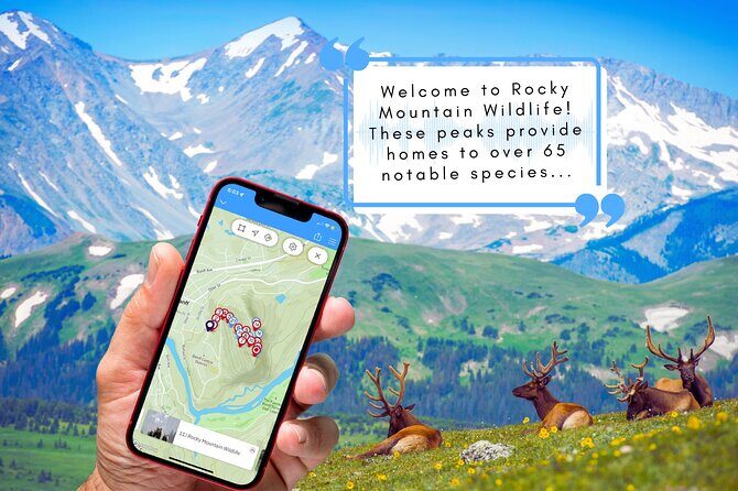 Tunnel Mountain Trail: a Smartphone Audio Nature Tour - Why This Tour Offers Good Value