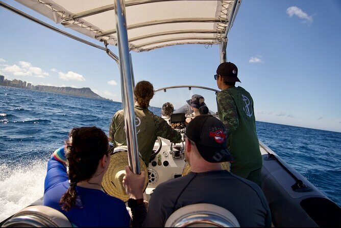 Turtle Canyon Snorkel: Semi Private Boat Tour - The Itinerary in Detail