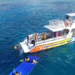 Turtle Canyons Snorkel Excursion from Waikiki, Hawaii - Final Thoughts: Why Choose This Snorkel Adventure?