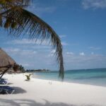 Turtle Snorkeling Adventure from Cancun - FAQ