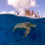 Turtle Snorkeling Boat Tour and Adventure in Waikiki - Detailed Review of the Turtle Snorkeling Boat Tour
