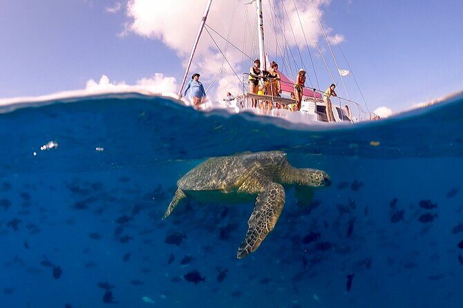 Turtle Snorkeling Boat Tour and Adventure in Waikiki - Detailed Review of the Turtle Snorkeling Boat Tour