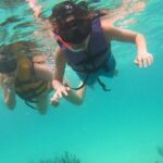 Turtle Snorkeling in Akumal - A Closer Look at the Akumal Turtle Snorkeling Tour