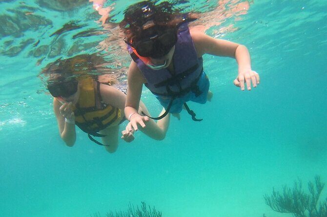 Turtle Snorkeling in Akumal - A Closer Look at the Akumal Turtle Snorkeling Tour