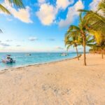 Turtle Swim, Lunch and Underground Cenote Private Tour - Who Would Love This Tour?