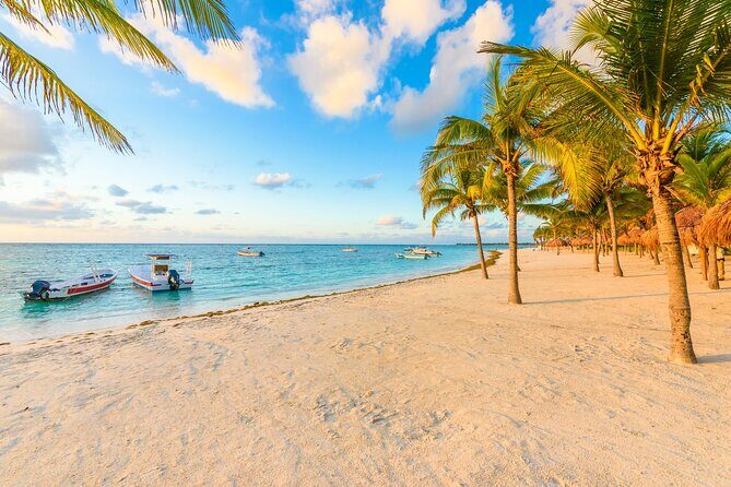 Turtle Swim, Lunch and Underground Cenote Private Tour - Who Would Love This Tour?