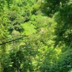 Turtles Release Adventure - Practical Tips for Your Visit